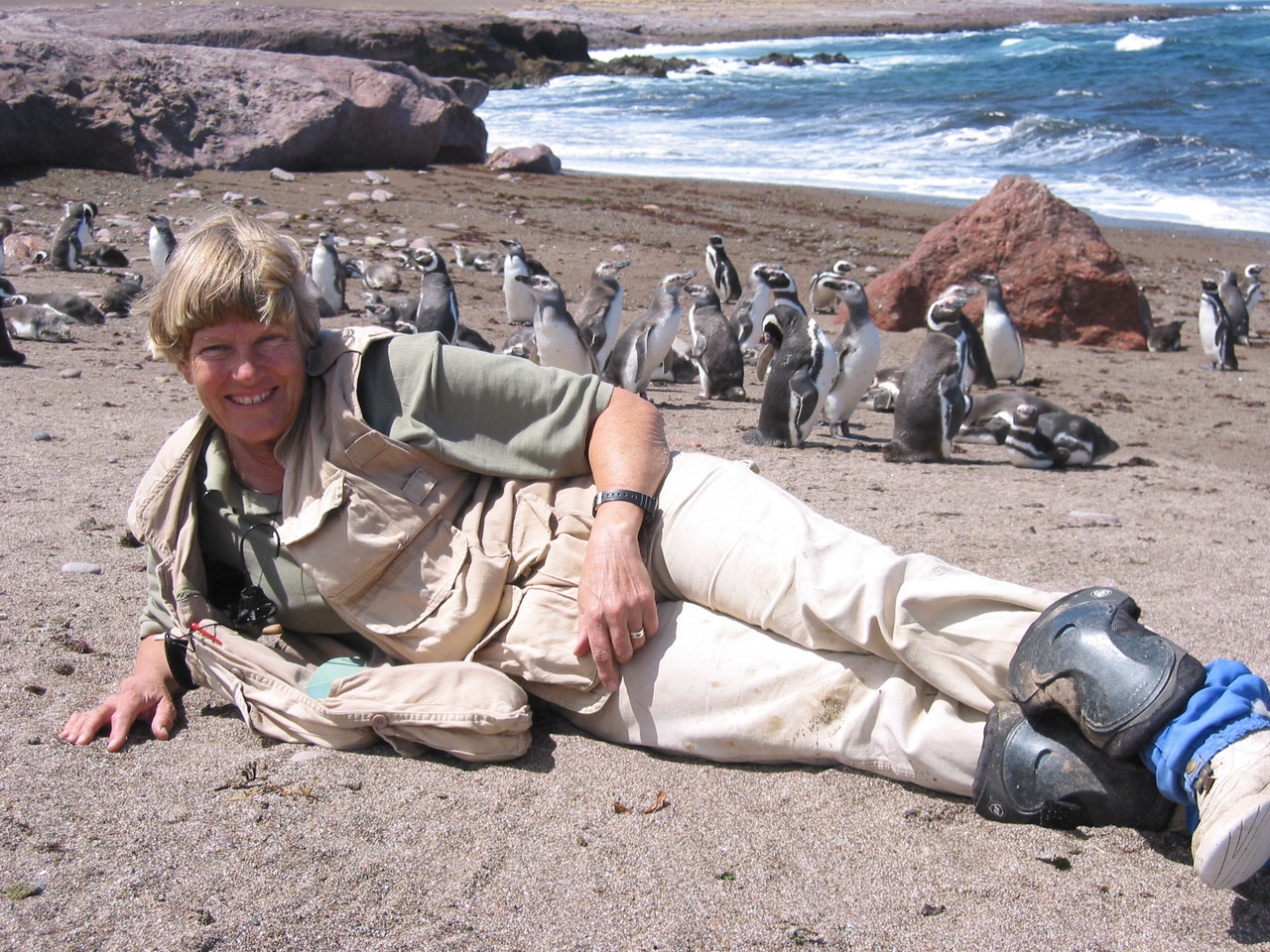 Dr. Dee Boersma