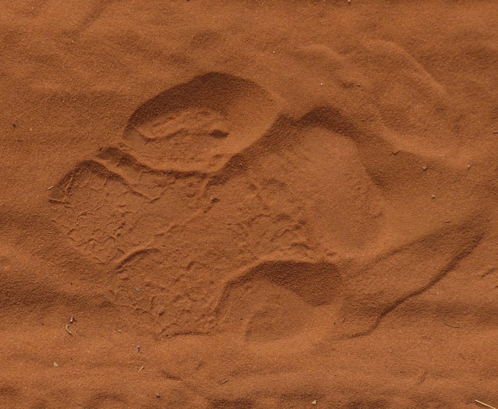 spoor of the black rhinoceros