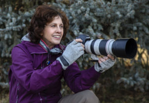 Wendy Shattil
